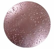 HMT brusne ploče, promjer 230mm, grube br. 607 za ROKAMAT TITANO/HERON, Z0607