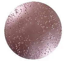 HMT brusne ploče, promjer 230mm, grube br. 607 za ROKAMAT TITANO/HERON, Z0607