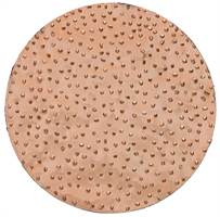 HMT brusne ploče, promjer 200mm, grube za ROKAMAT CHAMELEON/CHAMELEON CX po paru, Z22905