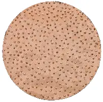 HMT brusne ploče, promjer 200mm, srednje za ROKAMAT CHAMELEON/CHAMELEON CX po paru, Z23205