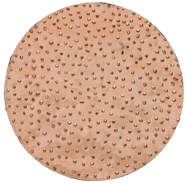 HMT brusne ploče, promjer 200mm, fine za ROKAMATCHAMELEON/CHAMELEON CX po paru, Z22405