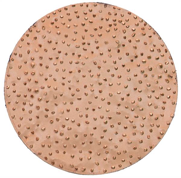 HMT brusne ploče, promjer 200mm, grube za ROKAMAT CHAMELEON/CHAMELEON CX po paru, Z22905