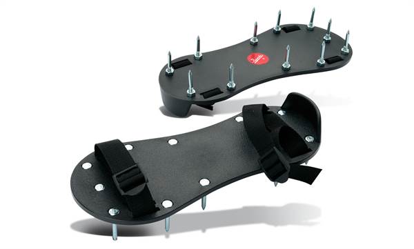 Cipele sa čavlima, Z4911